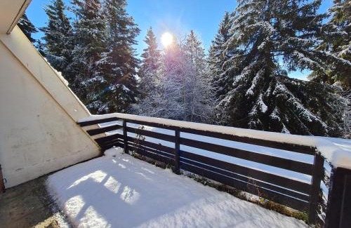 Font-Romeu-Odeillo-Via Apartamento | Appartement cosy 1 chambre, rénové avec terrasse exposée Sud