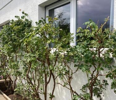 Grimisuat Apartamento | Appartement Havre de Paix