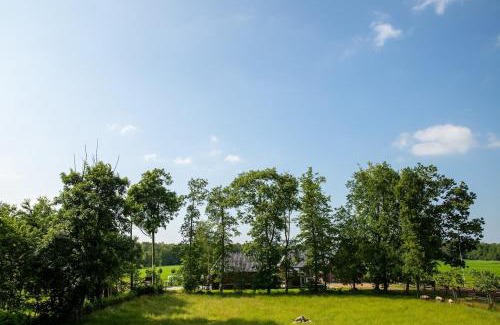 Hornsterzwaag Cama Y Desayuno | Appartement Hoornsterzwaag, landelijk gelegen