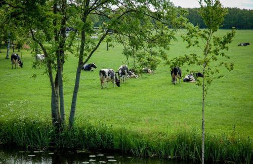Hornsterzwaag Cama Y Desayuno | Appartement Hoornsterzwaag, landelijk gelegen