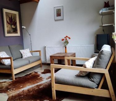Leeuwarden Apartamento | Appartement In Leeuwarden Mit Privater Terrasse