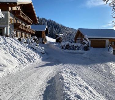 Eben im Pongau Apartamento | Appartement Josef am Untersüßgut