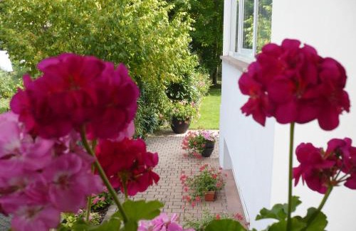 Lingolsheim Apartamento | Appartement Le Jardin