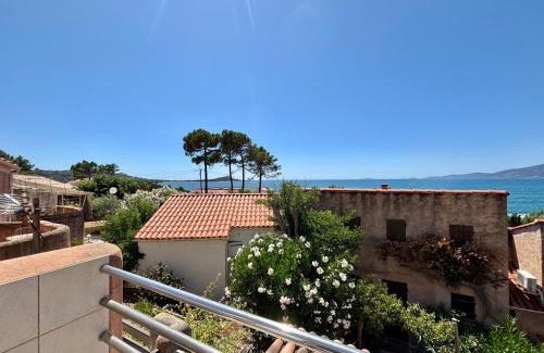 Molini Apartamento | Appartement Les Oliviers Agosta Porticcio 2 chambres