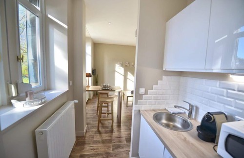 Besancon Apartamento | Studio Courbet-Apartamento-De Lujo-Baño con ducha-Vista al Parque