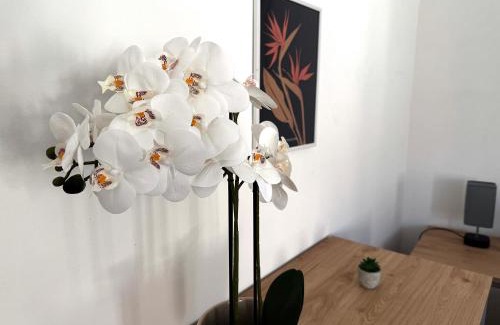 Evreux Apartamento | Appartement lumineux Évreux centre