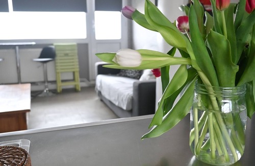 Malo-les-Bains Apartamento | Appartement Lumineux, Calme et Spacieux Situé Face à la mer