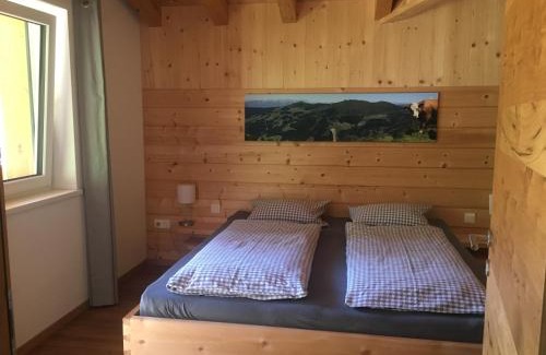 Auffach Apartamento | Appartement Mühlhäusl