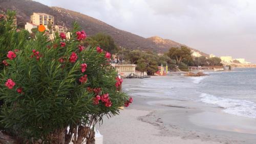 Ajaccio Apartamento | Appartement « Marinella » splendide vue mer aux Sanguinaires