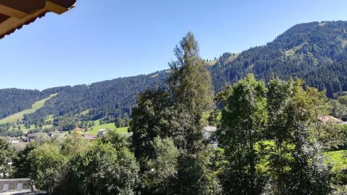 Niederau Apartamento | Appartement Maurer