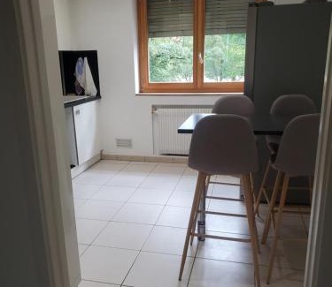 Annemasse Apartamento | Appartement meublé aux portes de Genève