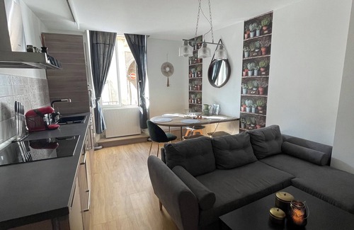 Semur-en-Auxois Apartamento | Appartement Moderne Hyper Centre Ville Médiévale