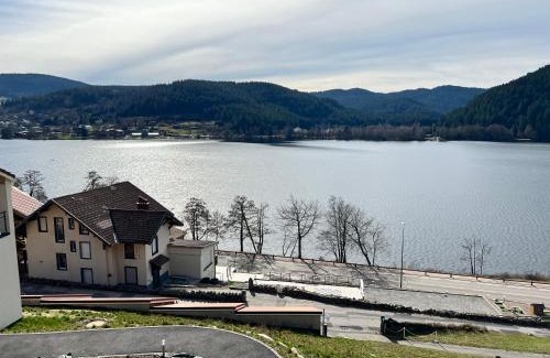 Gerardmer Apartamento | Appartement Neuf VUE LAC 6/8pers