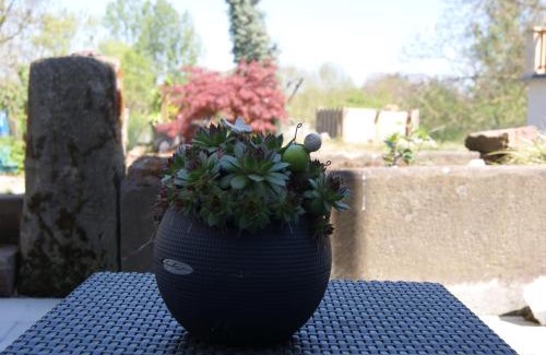 Berling Apartamento | Appartement Petite Vallée