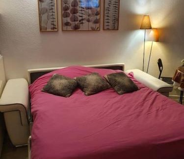 Pla d'Adet Apartamento | Appartement pla d'adet aux pieds des pistes