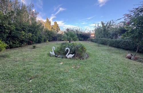 Tanja Balia Apartamento | Appartement plage kozah