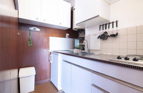 Pla d'Adet Apartamento | Appartement proche pistes avec options ménage, draps et serviettes, animaux acceptés - FR-1-296-201
