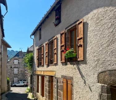 Vic-sur-Cere Apartamento | Appartement rénové, lumineux au centre de Vic