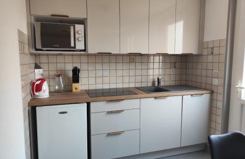 Palau-del-Vidre Apartamento | Appartement rénové avec clim, piscine, WiFi et parking à Palau-del-Vidre - FR-1-776-108