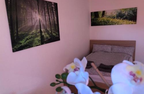 Regensburg Apartamento | Appartement Redhouse
