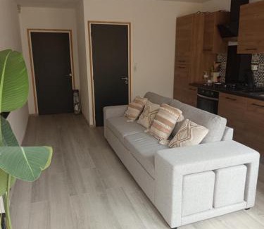 Aubigny-sur-Nere Apartamento | Appartement Rez de chaussée
