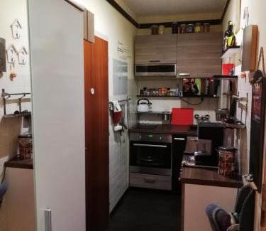 Tauplitz Apartamento | Appartement Schneerose