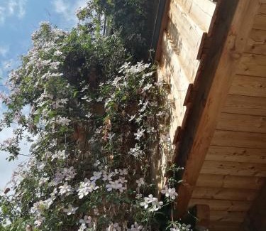Axams Apartamento | Appartement Seppi