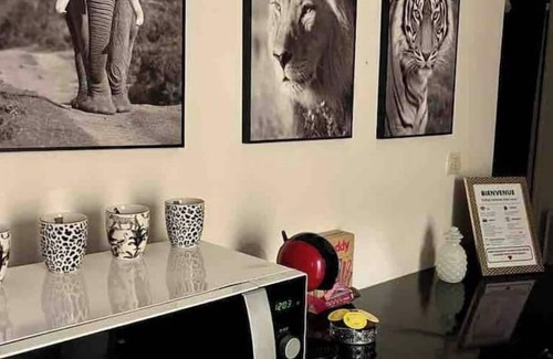 Anatole France Danton Apartamento | Appartement Spacieux Proche de la Gare