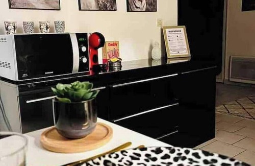 Anatole France Danton Apartamento | Appartement Spacieux Proche de la Gare