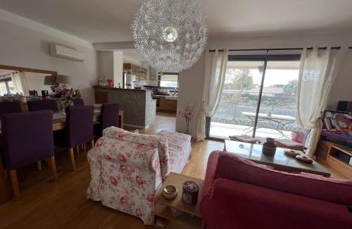 Le Ricanto Apartamento | APPARTEMENT STANDING AJACCIO 5mn A PIEDS PLAGE DU RICANTO AJACCIO