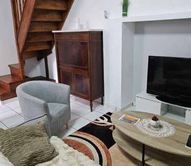 Oloron-Sainte-Marie Apartamento | Appartement -T3
