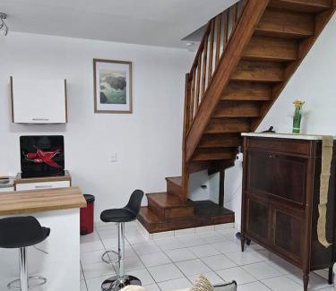 Oloron-Sainte-Marie Apartamento | Appartement -T3