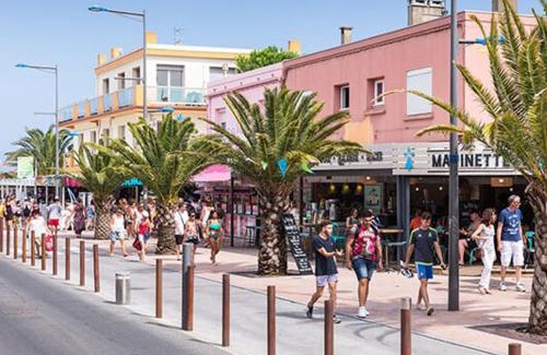 Plage d'Argeles Apartamento | Appartement T2 avec Climatisation à Argelès-sur-Mer - FR-1-732-96