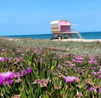 Leucate Apartamento | Appartement T2 dans village Naturiste en bord de mer
