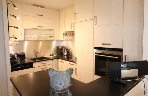 Annecy-le-Vieux Apartamento | Appartement T2 de 60m² à Annecy-le-Vieux, grande terrasse aménagée, proche lac et commerces - FR-1-432-74