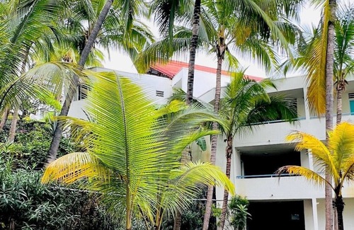 Boucan Canot Apartamento | Appartement T2 Le Letchi 44 m2 Saint Gilles - Boucan Canot à 300m de la Plage