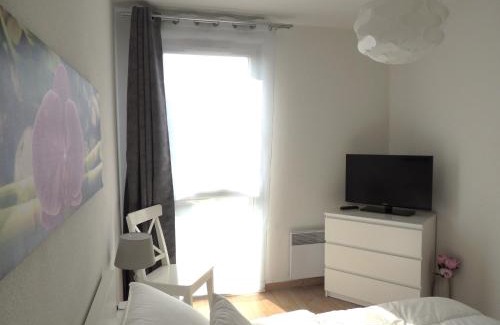 Lafourguette Apartamento | APPARTEMENT T2 MEUBLE AVEC BALCON TOULOUSE