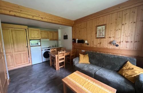 Combloux Apartamento | appartement T2 pour 6 personnes à Combloux