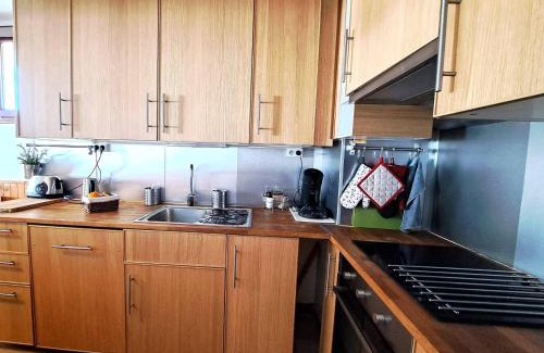 Pra Loup Apartamento | Appartement T3 cosy pour 8 pers. à Pra-Loup, à 50m des pistes avec balcon et parking privé - FR-1-165A-78