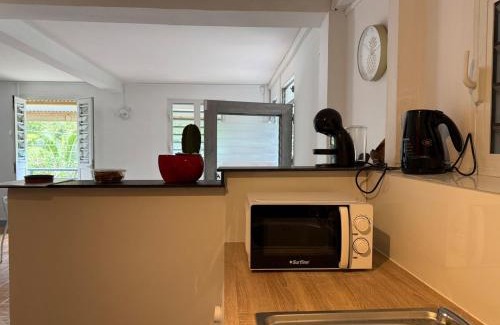 Fort-de-France Apartamento | Appartement Tivoli Sur la route des rivières