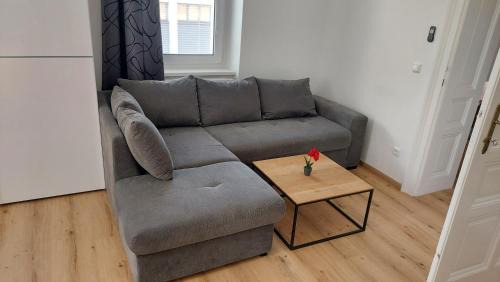 Innere Stadt Apartamento | Appartement Top 4 - Premium