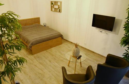 Draveil Apartamento | Appartement Tropical et JACUZZI Balnéothérapie Draveil