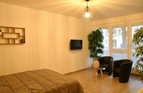 Draveil Apartamento | Appartement Tropical et JACUZZI Balnéothérapie Draveil