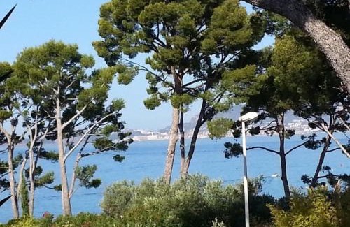 La Madrague Apartamento | Appartement vue mer à La Madrague