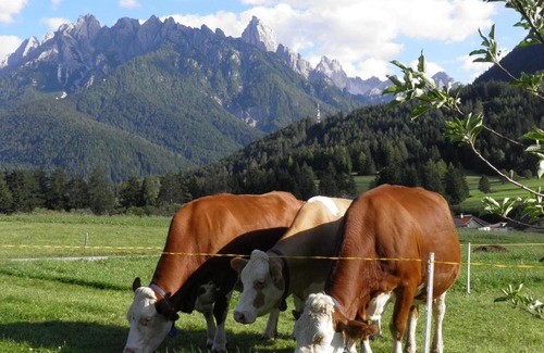 Valle San Silvestro Apartamento | Appartements Burgerhof