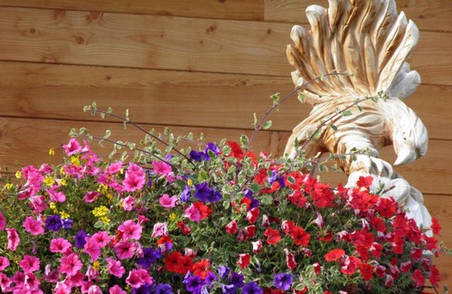 Valle San Silvestro Apartamento | Appartements Burgerhof