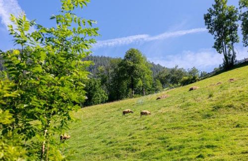 Alpbach Casa | Appartements Zellner