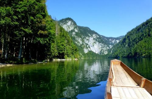 Gosau Apartamento | Appartment Almenliesl
