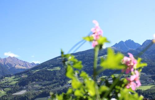 Rifiano Apartamento | Appartments Innerhofer