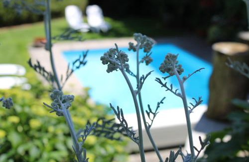 Rifiano Apartamento | Appartments Innerhofer